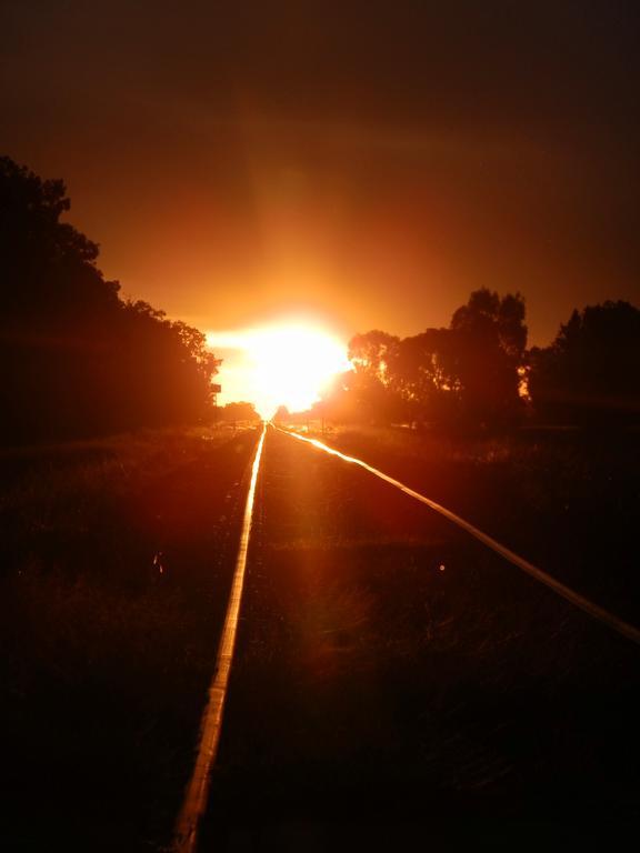 Narrabri Motel&Caravan Park Exteriör bild